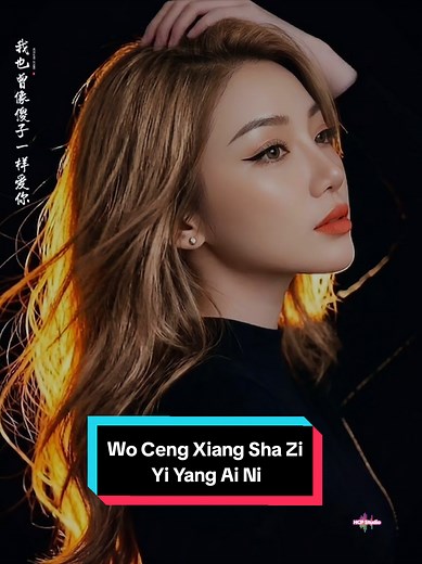 Wo Ceng Xiang Sha Zi Yi Yang Ai Ni — Chinese song lyrics & meaning