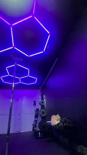 Vanessa on Instagram