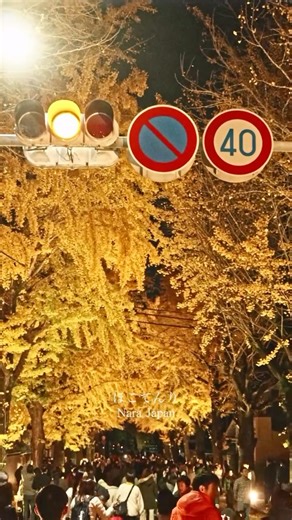 Yuko Narasaki on Instagram: "ほこてんりの1日目のライトアップ 最高に美しかったのでした 映像は初日を撮影させて頂きました この素晴らしいイベントにご準備頂きました 関係者の皆様方 素敵な景色を見させて頂きまして ありがとうございました 心より感謝いたします☺️🙏 11月 29~30日（土日） 【開催時間】 10:00～ ライトアップ 18:00~19:45 ほこてんり @hokotenri 〒632-0016 奈良県天理市川原城町 ⁡ camera : LUMIX S1Ⅱ date : 2025.11.29 movie & edit : @uko.style ⁡ 奈良の“静かな時間”をこれからも投稿します いいね / コメント / フォロー / 保存 /再投稿 いただけますと励みになります いつもご覧頂きありがとうございます #ほこてんり #銀杏 #天理 #天理観光 ━━━━━━━━━━━━━━━ Light up on the first day of Hoko Tenri It was the most beautiful The video was