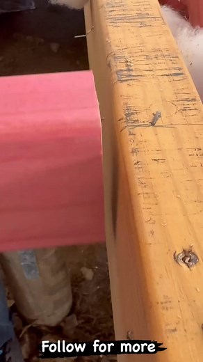 75K views · 275 reactions | Daily Routine Tasks life work. . . #reels #tips #diy #tools #construction #constructor #foryou #thehomedepot #interiordesign #interiordecor #interior #homedecor #handmade #architecture #homedepot #design #foryoupage #diyhome #home #realestate #instagram #explorepage #firsttimedad #decor #odmrods #renovation #explore #usa | Mexidesed | Facebook