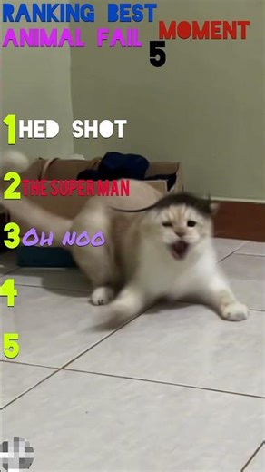 Get ready to laugh! 😂