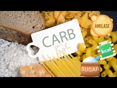 🥖🔬 Carbohydrates Explained: The Sweet Science Behind Your Energy! 🍞