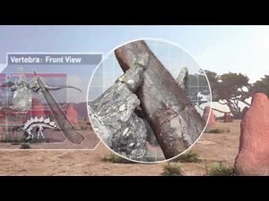 Planet Dinosaur Se1 - Ep4 Fight for Life - Screen 08