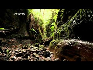 Man Vs Wild: Un Week-End Avec Bear Grylls