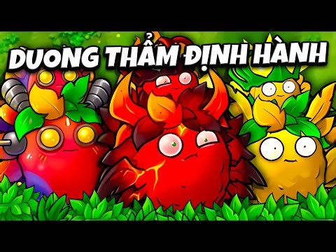 DuonG THẨM ĐỊNH HÀNH ...............