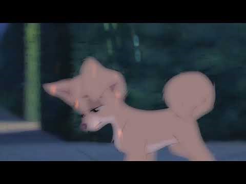 𝙳𝚊𝚗𝚐𝚎𝚛𝚘𝚞𝚜𝚕𝚢 - Simba x Angel