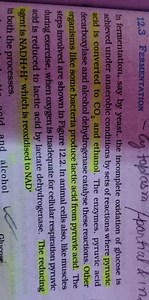 12.3 Fermentation-partial \& inIn fermentation, say by yeast,... | Filo