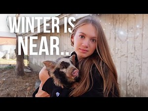 Preparing the Farm for a Cold Winter ❄️🥶