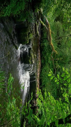 ||beautiful Nature||