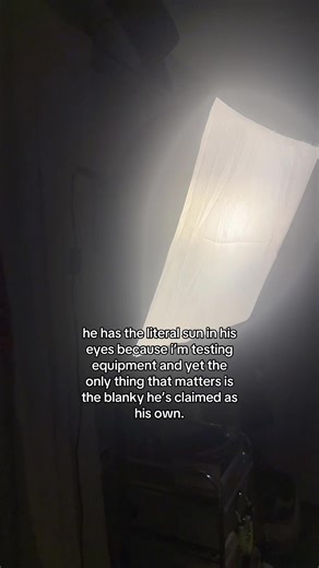 A Day in the Life of a Cat: Mischief and Comfort