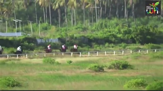 6.4K views · 94 reactions | Race 6: E Class & Lower Open To Imported 3 Years Old. Distance: 1 Mile 1st: Order And Progress Jockey G. Santos 2nd: Barbara Jockey Y. Kissoonchand 3rd: Stormy Victory Jockey R. Appadu Also Ran: Kanem, Nolo Contesto, Full Force Sire Of Winner: Put It Back (USA) | Guyana Horse Racing | Facebook