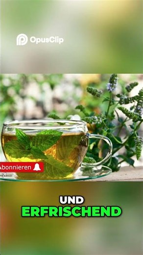 Minze: Uralte Heilkraft & Erfrischung für heiße Tage