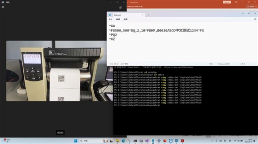 Zebra条码标签打印机