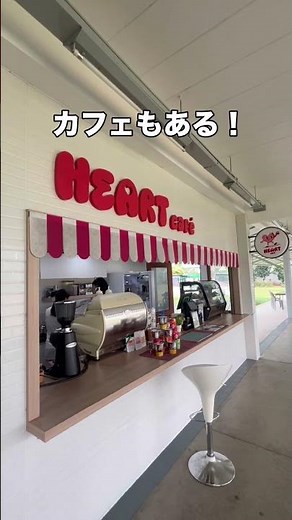 タイ🇹🇭バンコクの芝から打てるゴルフ練習場が最高すぎる件