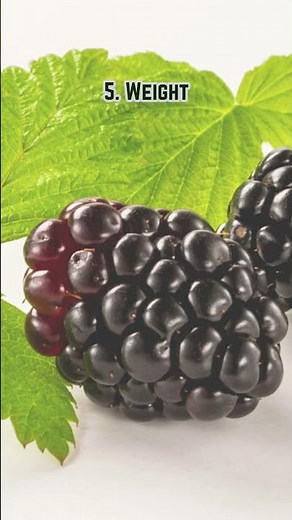 10 Boysenberry Health Benefits