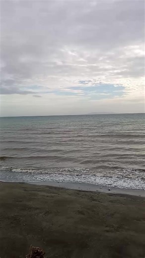 TikTok Highlights: The Best Moments from 2026