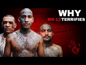 How MS-13 Became America’s Deadliest Gang
