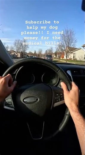 Please help me!!! Lucy is ok but she still needs help!!