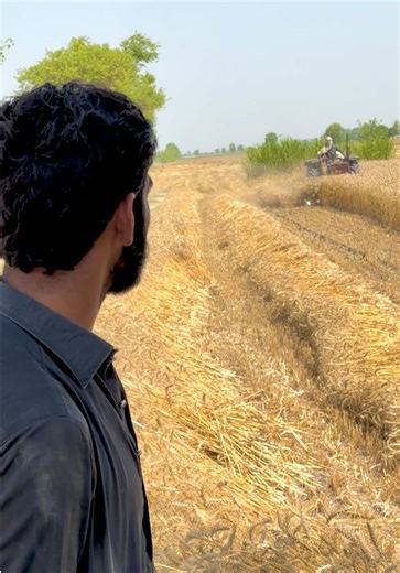 🤣🤣🤣#fyp #tractor #viral #unfrezzmyaccount #viewproblem