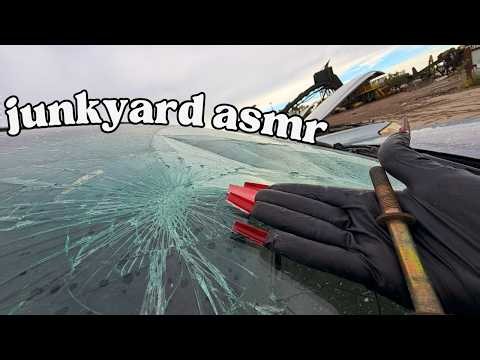 exploring junkyard for asmr and sleep - lofi tapping