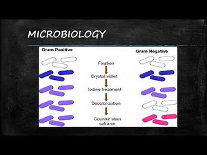 CIC Study Guide Series 1 Microbiology