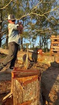 Hand splitting Water Oak Red Oak 8lb #firewood #oak #fyp #husqvarna #louisiana