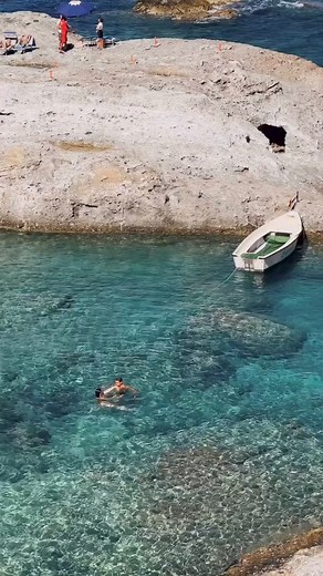 3.5K views · 24 reactions | Swimming Malta Daily Malta | Daily Malta | Facebook