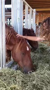 6.3K views · 36 reactions | FICO a Bologna si trasforma! Il primo e unico parco dedicato al cibo italiano, dopo un anno di lavori diventa un vero e proprio parco da gustare in totale divertimento! Scopri tutte le novità https://www.fico.it/it | PaesiOnLine | Facebook