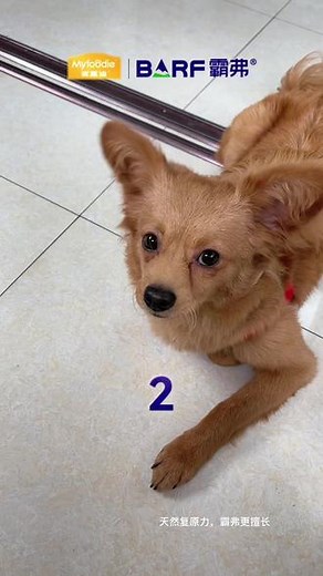 7427368624060517647