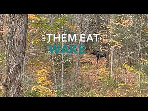 CROSSBOW MOOSE HUNT 2023..MOOSE DOWN!!