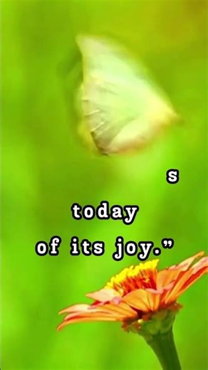 Uplifting and inspiring daily quote Leo Buscaglia for Life and Love Introspection