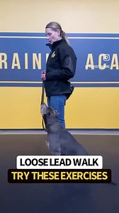 381K views · 5.2K reactions | Loose Lead Walk: Some basics to get you...