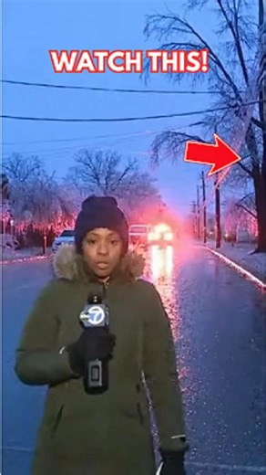 Live News Report Disrupted as Ice-Laden Tree Crashes Near Reporter
