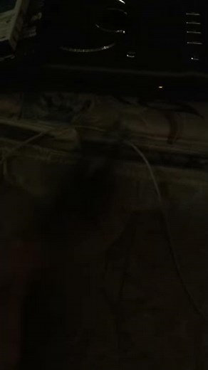 Happy Feet (DVD, 2007, Full Frame)