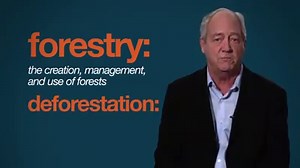 210K views · 844 reactions | New Video: Trees Are the Answer Everybody loves trees, so why are they so controversial? Patrick Moore untangles the knotty issue of "deforestation" and shows how, from a purely environmental perspective, it is possible and desirable to grow more trees and use more wood products. | PragerU | Facebook