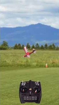 RealFlight Evolution E-flite Super Decathlon