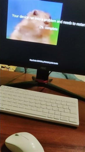 Dramatic Look Chipmunk Has BSOD #dramaticlook #bsod #chipmunk