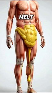 2.1M views · 17K reactions | Best Home Belly Fat Loss Exercises For Beginners: 30 Days Abs Workout Challenge #beginnerworkout #fatloss #homeworkout | Doctor CC Fit | Facebook