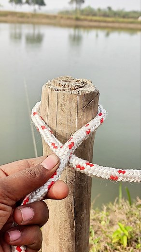 This Knot Is Genius. #shorts #knotskill #knotting #shortsfeed