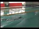 TI Coach Takahashi's Butterfly Demo