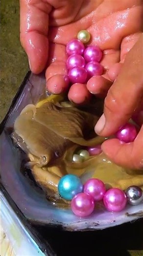 The beautiful woman followed the clam and dug out a lot of pearls