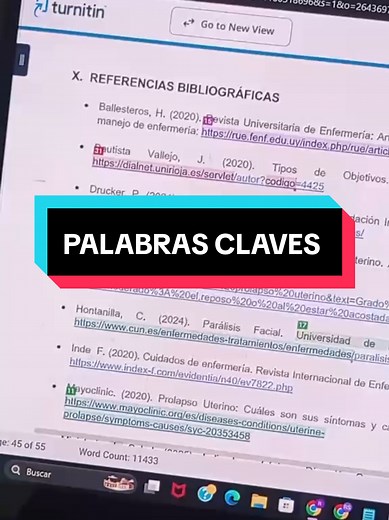 Detector de plagio Turnitin: cómo funciona y usarlo en tesis