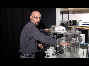 Microscopy: Live Cell Imaging and Environmental Control (Kurt Thorn)