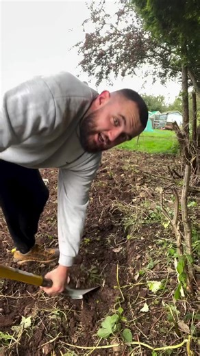 Allotment Gardening Adventures: Digging for Burgers