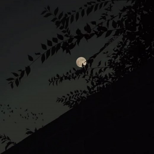 Donna - Ritchie Valens Lyrics in English and Spanish