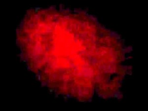 Charles Osgood - CBS News Sunday Morning - 1997 Peabody Award Acceptance Speech