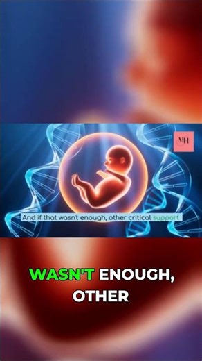 Inside Your Womb: The First Organs to Form #fetaldevelopment #pregnancy #anatomy