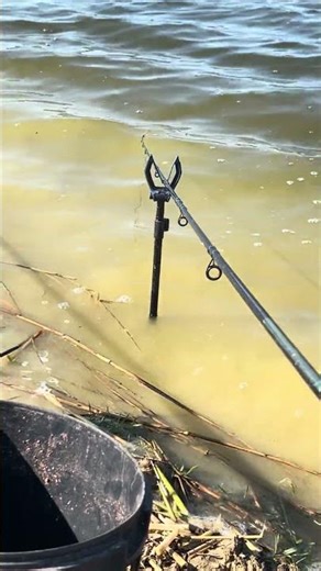 Pescuit la method 04.04.2026 #methodfeeder