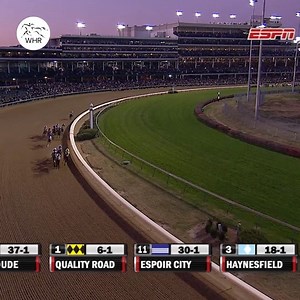 252K views · 212 reactions | 路‍♀️ DON'T BLAME US 路‍♂️ It was a case of oh so close for Zenyatta in the 2010 Breeders' Cup World Championships Classic... | World Horse Racing | Facebook