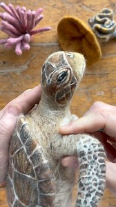 Needle felted Sea Turtle and Coral. Experimenting can be fun especially when trying new material to strengthen your wool sculptures. There’s only a few more stages before this project is completed. Thank you to those who have been working with me in my membership and to those who have pre-ordered the sea turtle needle felting kit. They will be swimming to you late June. If you’d like more information of how to join my membership or pre-order my wildlife kits please email birdieandblossom01@gmail